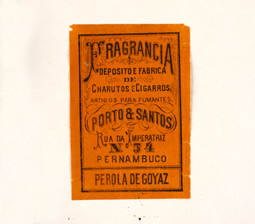 vizualizar o documento on line